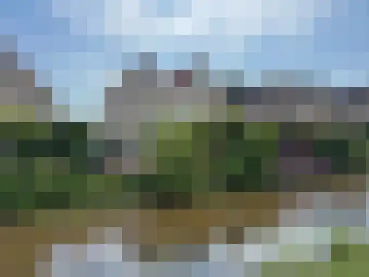 Goudenregen 15 Coevorden thumbnail 13