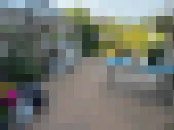 Goudenregen 15 Coevorden thumbnail 15