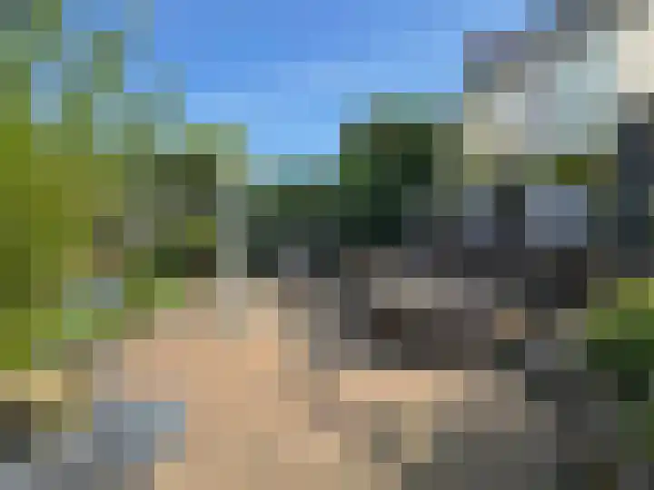 Goudenregen 15 Coevorden thumbnail 18