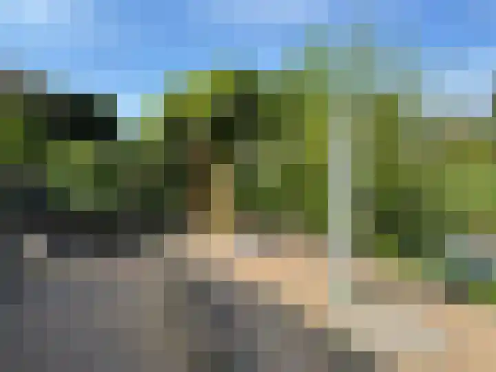 Goudenregen 15 Coevorden thumbnail 19