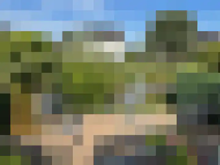 Goudenregen 15 Coevorden thumbnail 20
