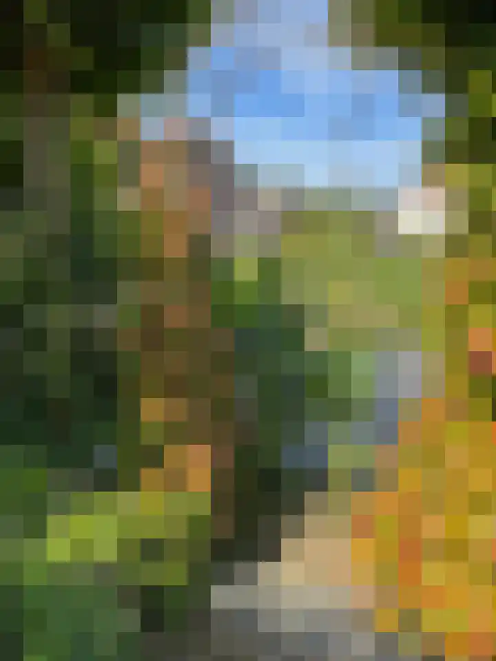 Goudenregen 15 Coevorden thumbnail 21