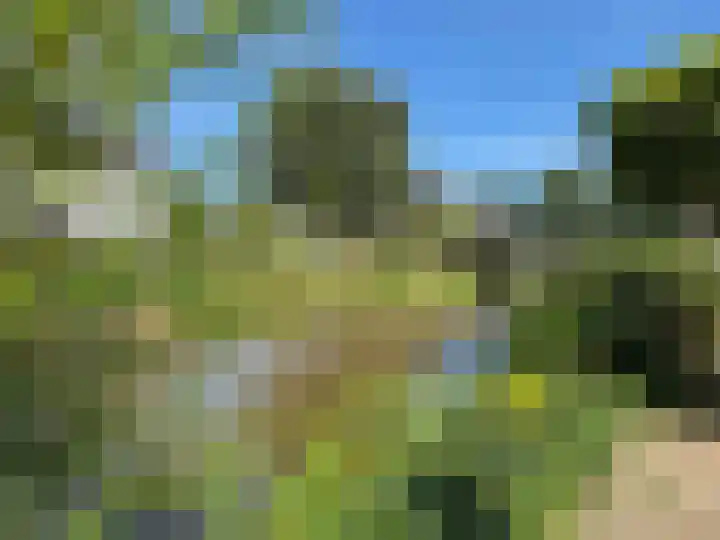 Goudenregen 15 Coevorden thumbnail 22