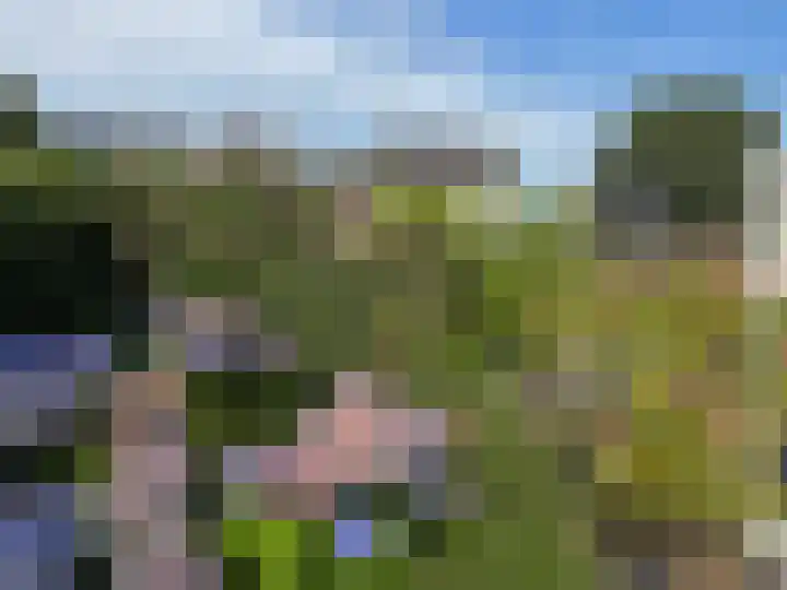 Goudenregen 15 Coevorden thumbnail 23