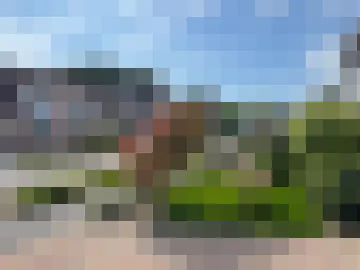 Goudenregen 15 Coevorden thumbnail 8