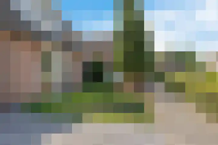 Goudenregen 18 Coevorden thumbnail 4