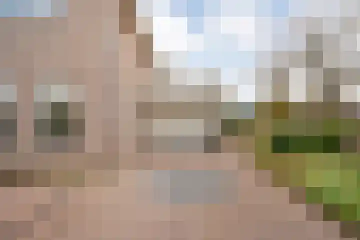 Goudenregen 2 Coevorden thumbnail 10