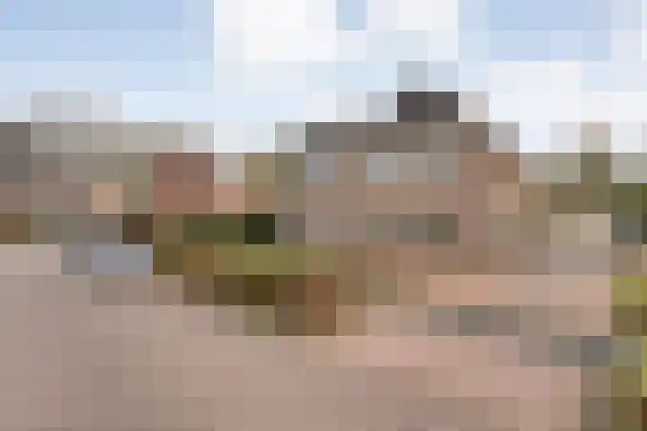 Goudenregen 2 Coevorden thumbnail 4