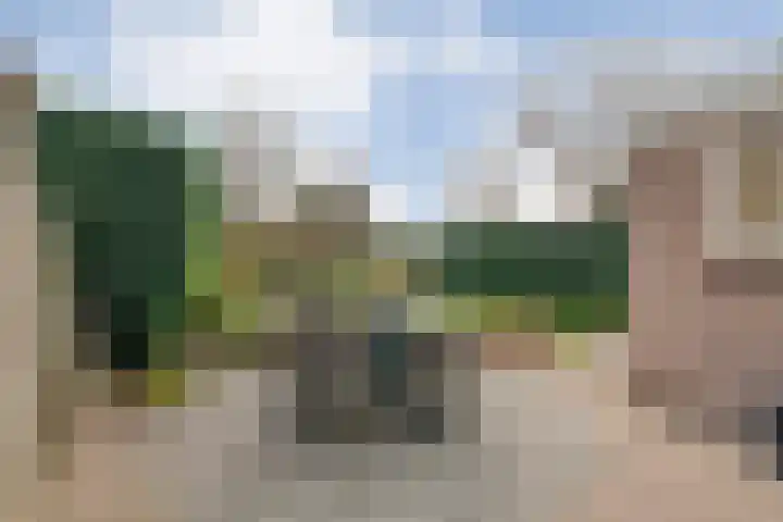 Goudenregen 2 Coevorden thumbnail 46