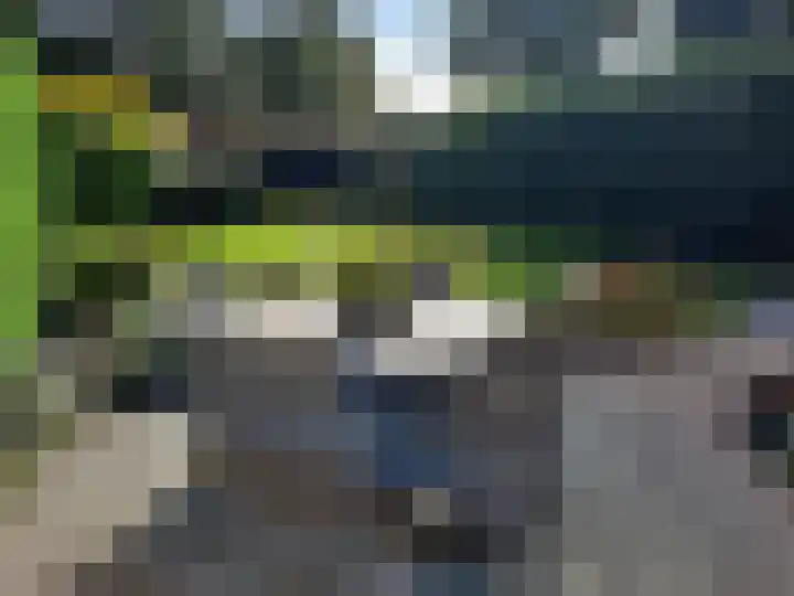 Goudenregen 2 Coevorden thumbnail 48
