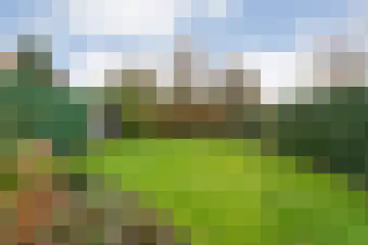 Goudenregen 2 Coevorden thumbnail 51