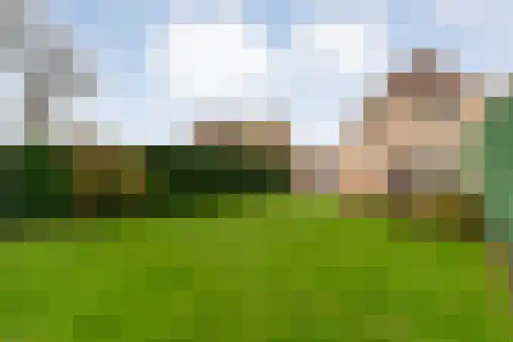 Goudenregen 2 Coevorden thumbnail 53