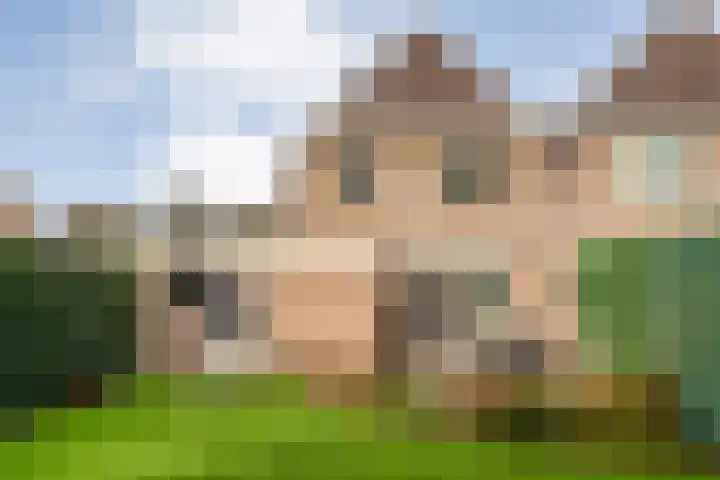 Goudenregen 2 Coevorden thumbnail 54