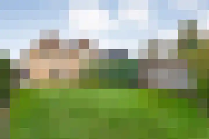 Goudenregen 2 Coevorden thumbnail 56