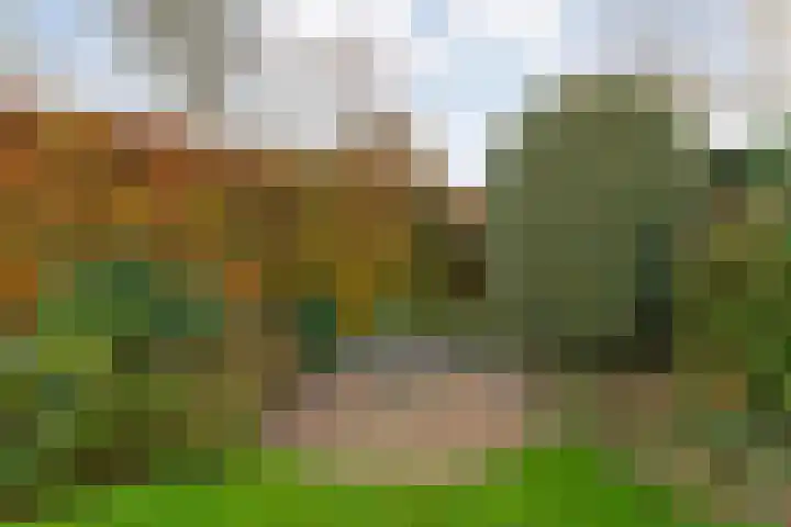 Goudenregen 2 Coevorden thumbnail 57