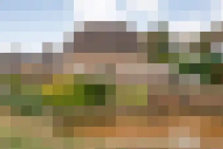 Goudenregen 2 Coevorden thumbnail 61