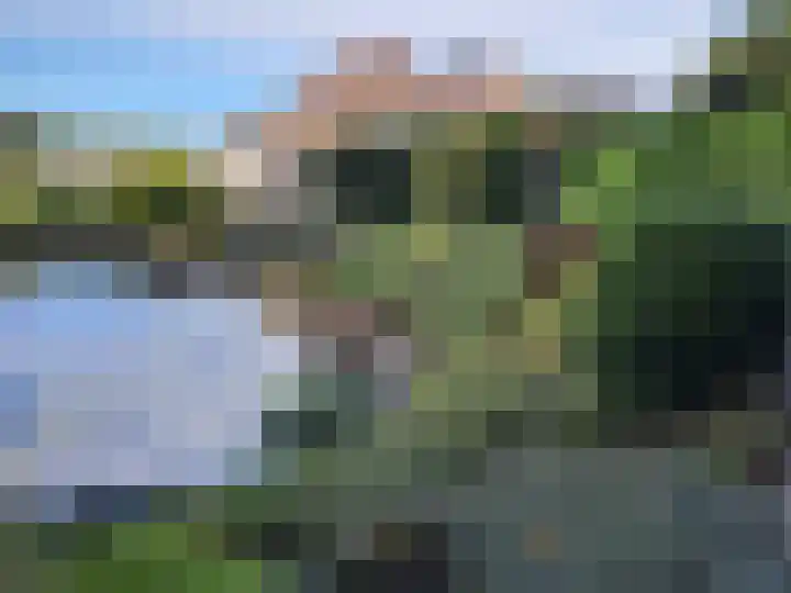 Goudenregen 2 Coevorden thumbnail 62