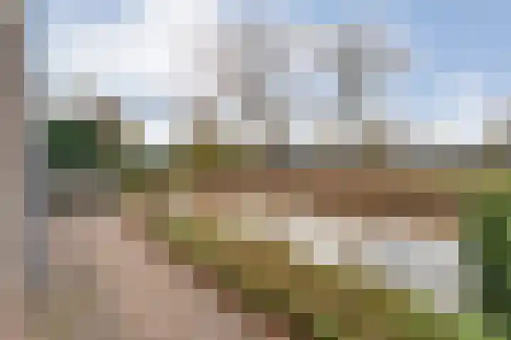 Goudenregen 2 Coevorden thumbnail 7