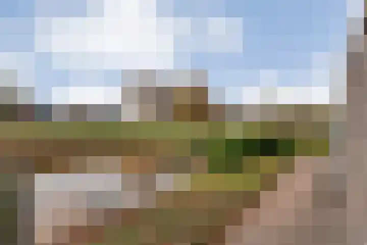 Goudenregen 2 Coevorden thumbnail 9