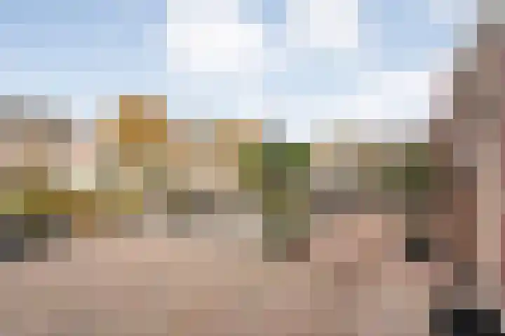 Goudenregen 5 Coevorden thumbnail 31