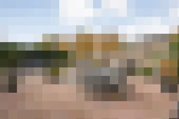 Goudenregen 5 Coevorden thumbnail 35