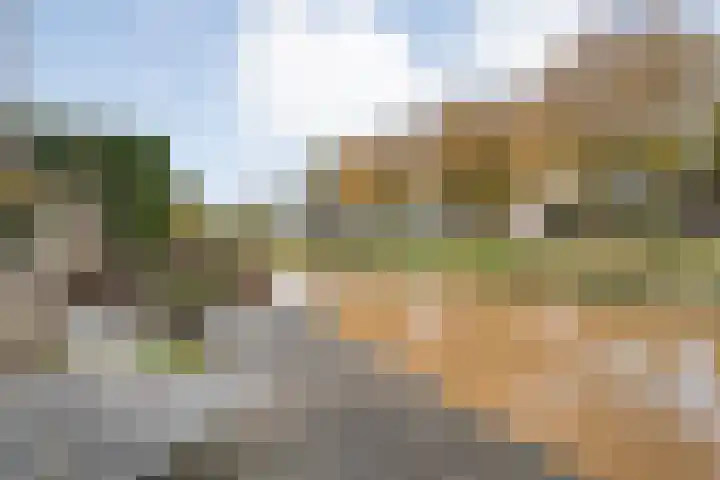 Goudenregen 5 Coevorden thumbnail 37