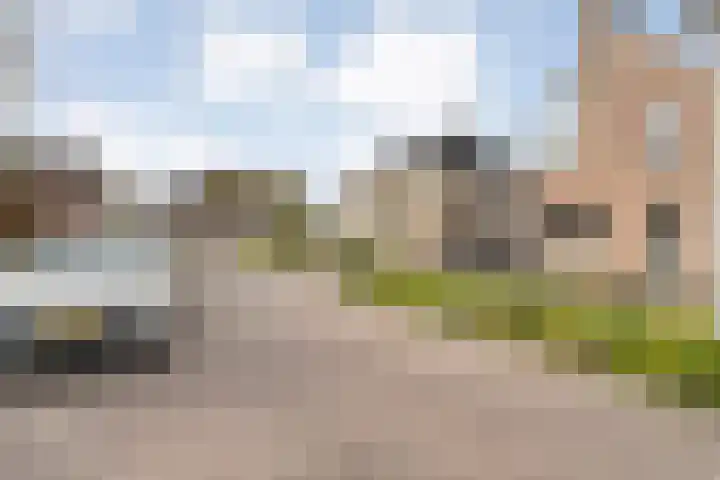 Goudenregen 5 Coevorden thumbnail 4
