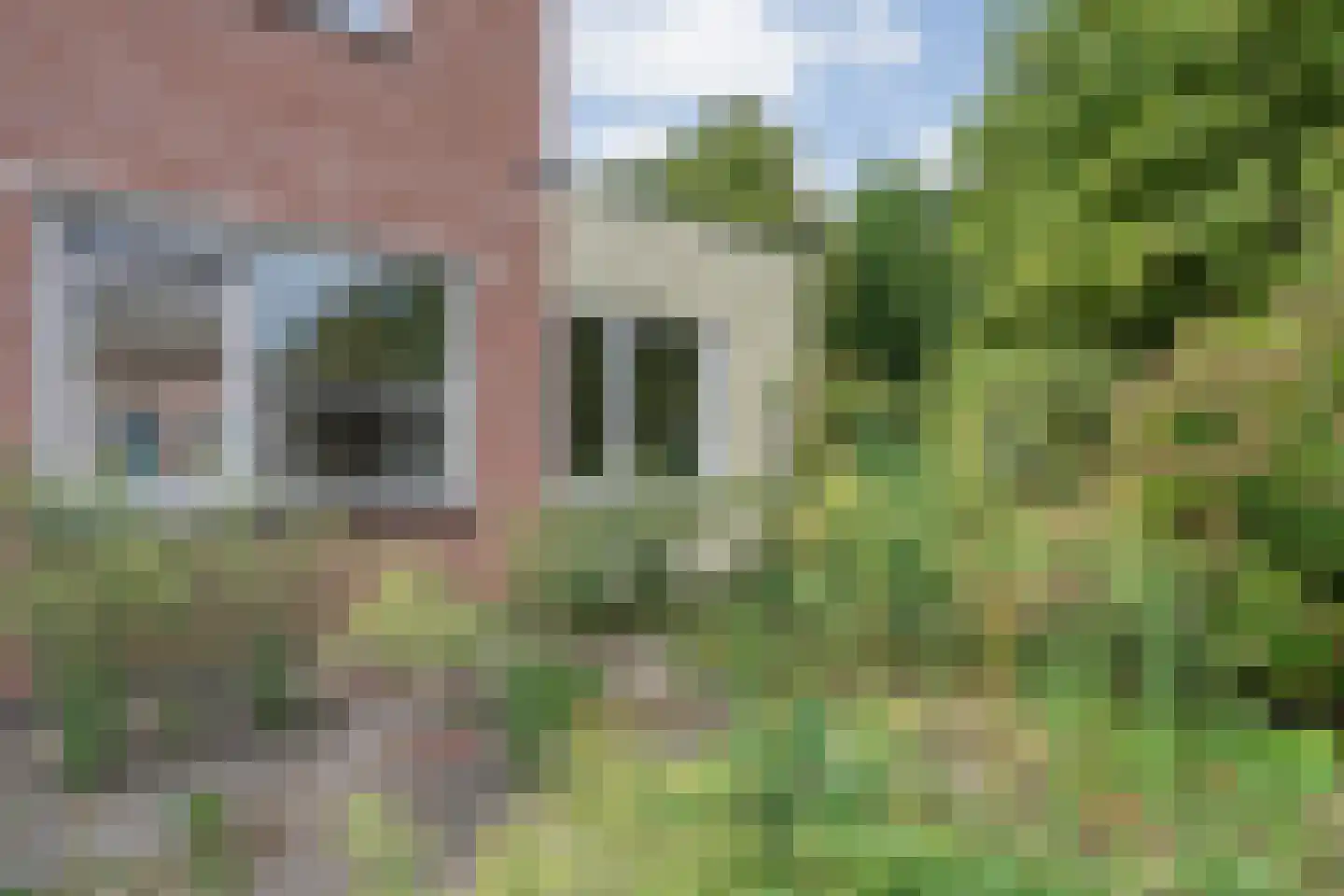 Goudenregen 60 Heino thumbnail 33