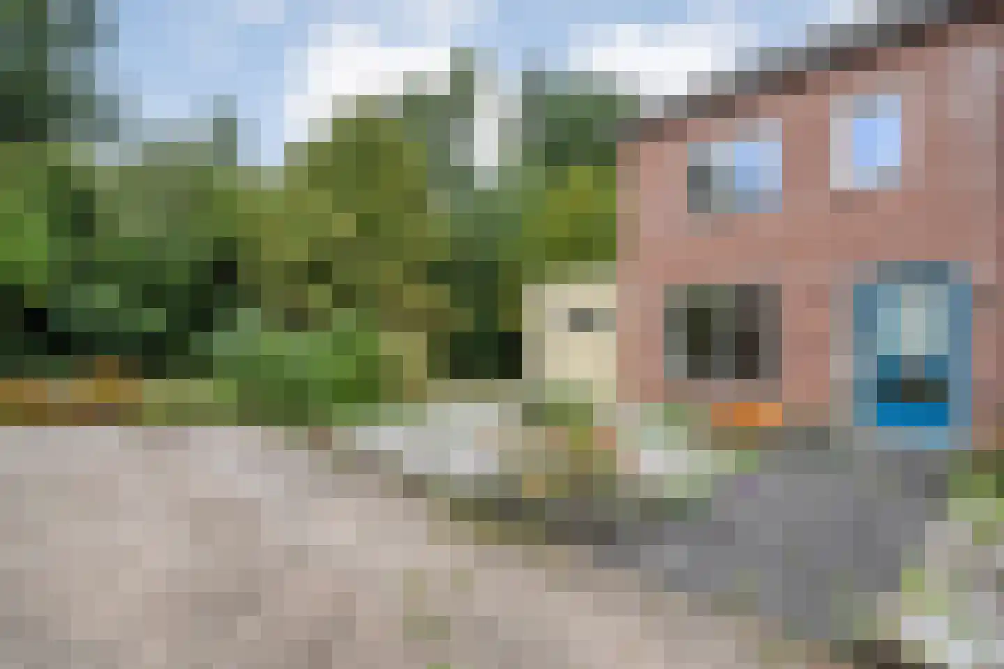 Goudenregen 60 Heino thumbnail 4