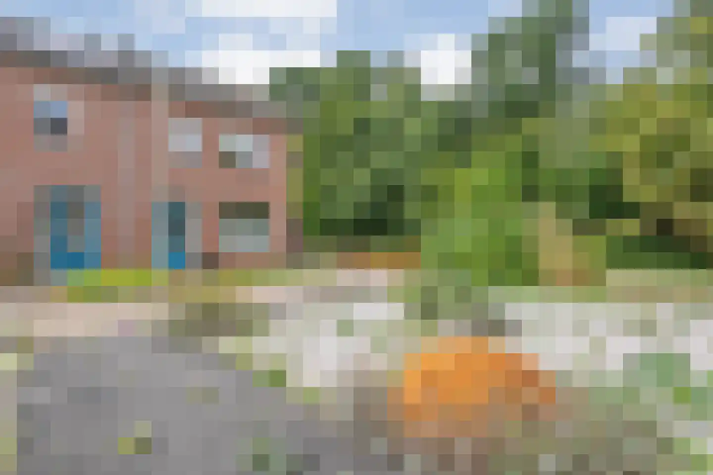 Goudenregen 60 Heino thumbnail 5