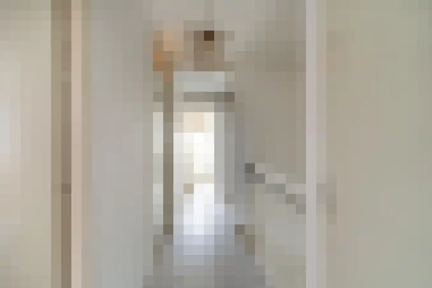 Goudenregenhof 9 Woudrichem thumbnail 16