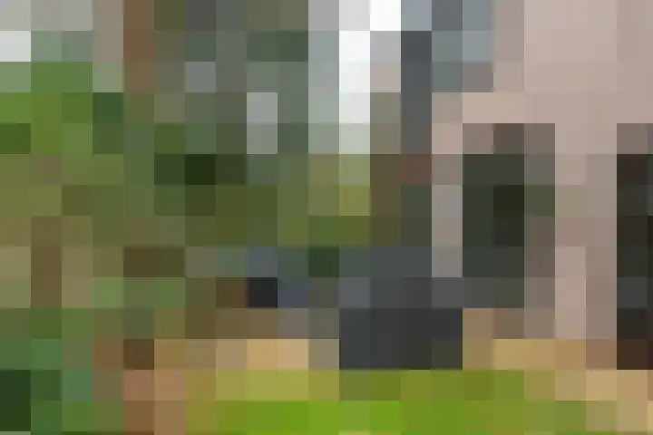 Goudenregenlaan 14 Bilthoven thumbnail 12