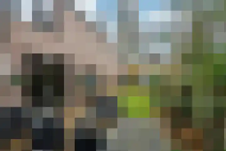 Goudenregenlaan 14 Bilthoven thumbnail 13