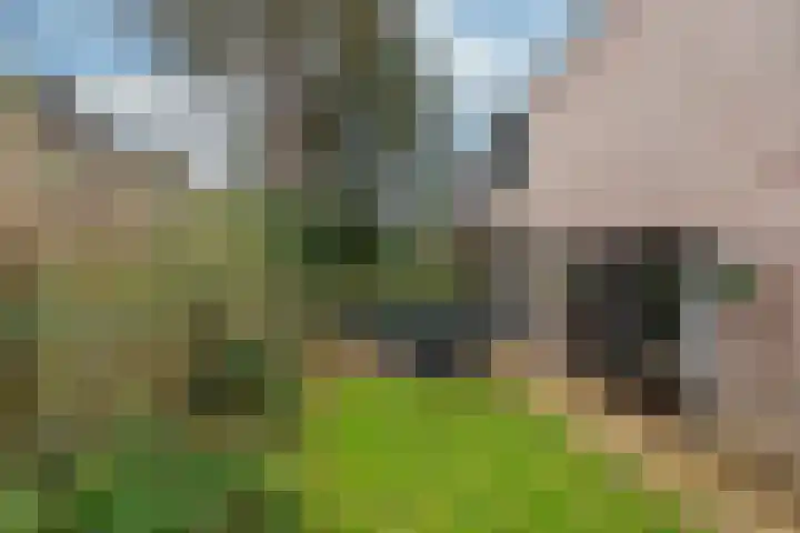 Goudenregenlaan 14 Bilthoven thumbnail 14