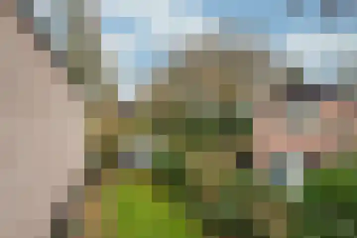 Goudenregenlaan 14 Bilthoven thumbnail 25