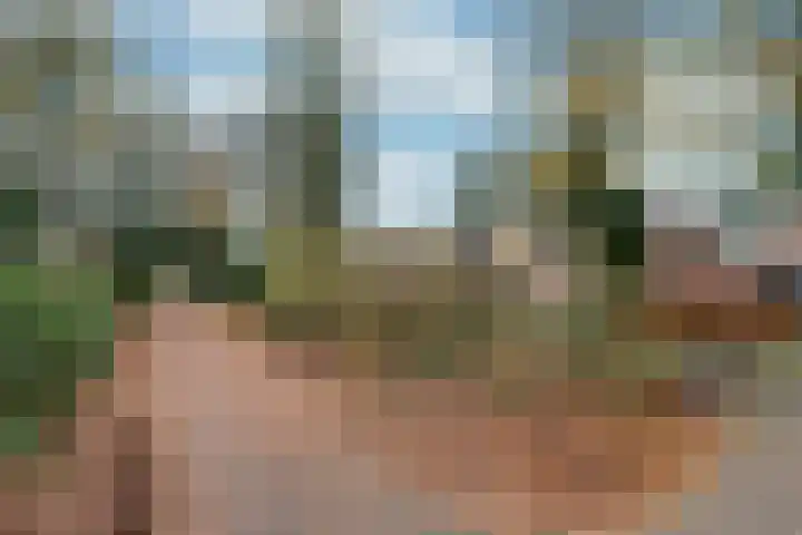 Goudenregenlaan 14 Bilthoven thumbnail 26