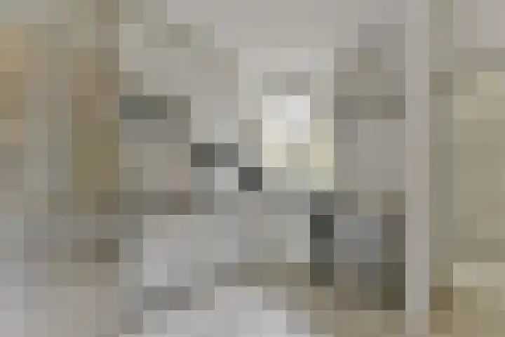 Goudenregenlaan 14 Bilthoven thumbnail 9