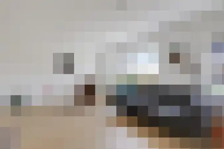 Goudenregenlaan 16 Dieren thumbnail 10