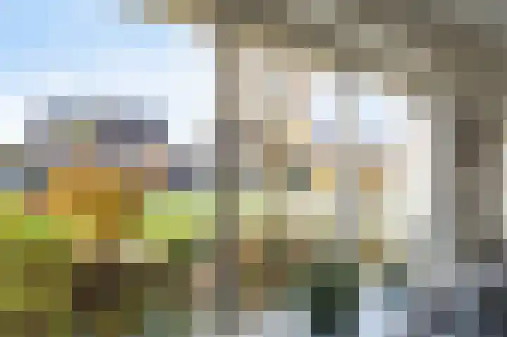 Goudenregenlaan 16 Dieren thumbnail 13