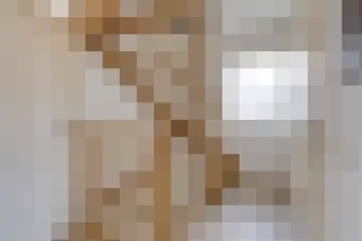 Goudenregenlaan 16 Dieren thumbnail 22