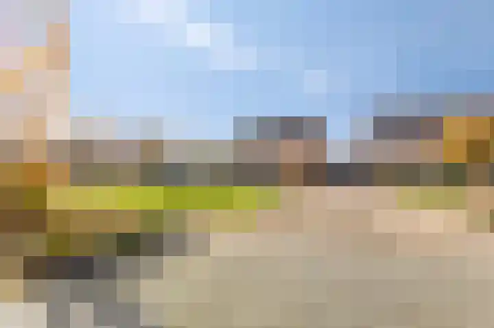 Goudenregenlaan 16 Dieren thumbnail 31