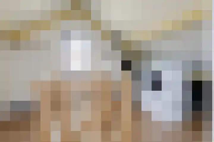 Goudenregenlaan 16 Dieren thumbnail 33