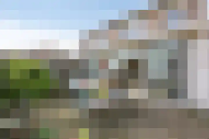 Goudenregenlaan 16 Dieren thumbnail 36
