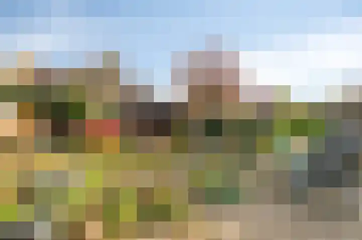 Goudenregenlaan 16 Dieren thumbnail 39