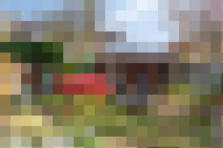 Goudenregenlaan 16 Dieren thumbnail 40