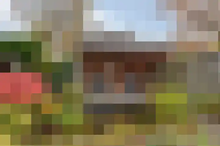 Goudenregenlaan 16 Dieren thumbnail 41