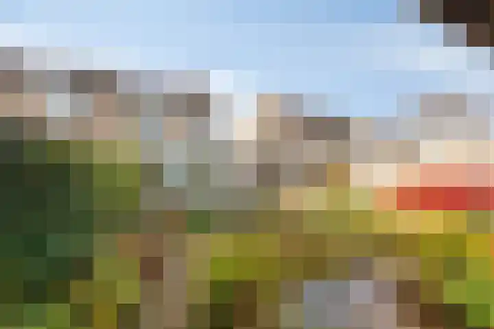 Goudenregenlaan 16 Dieren thumbnail 43