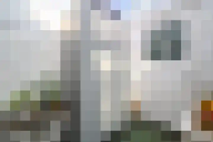Goudenregenlaan 2 Hilversum thumbnail 10