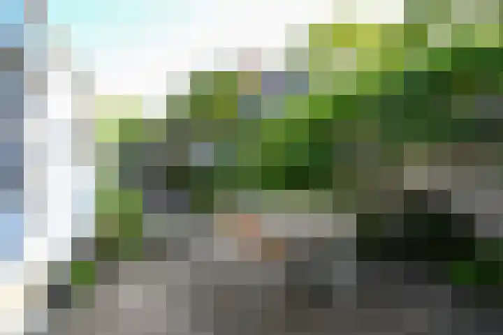 Goudenregenlaan 2 Hilversum thumbnail 11