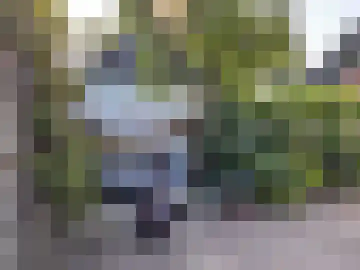 Goudenregenlaan 2 Hilversum thumbnail 25